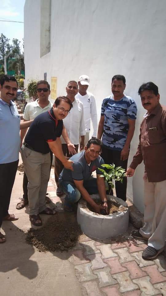 Plantation